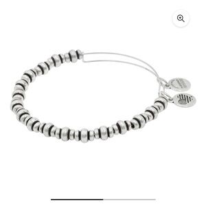 Alex and Ani Power of Positivity Nile Beaded Rafaelian Silver Charm Bracelet